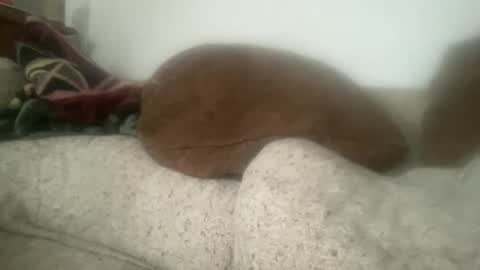 Sonny online show from 21, 12, 2025