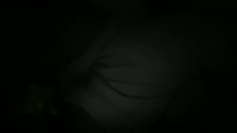 Sonny online show from 2, 2, 2026