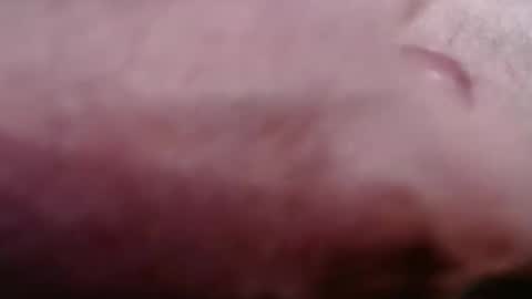 Greg online show from 21, 2, 2026