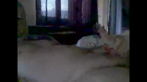 grittslappa online show from 14, 11, 2025