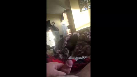 grizzely1975 online show from 22, 11, 2025