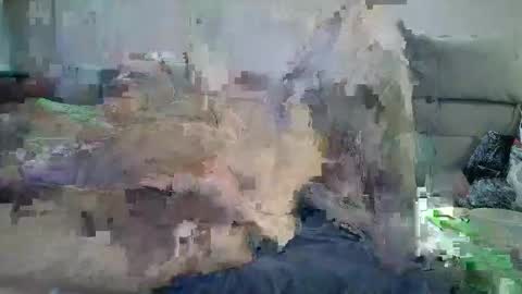 Snapshot of grossmanmeir chatting on 5, 10, 2025 grossmanmeir online show from 5, 10, 2025