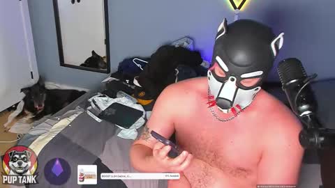 Alpha pup online show from 23, 11, 2025