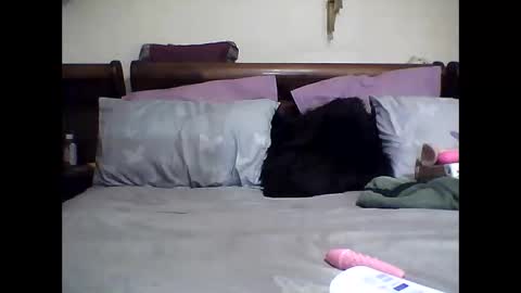 Snapshot of gucci_bx chatting on 8, 3, 2025 gucci-bx online show from 8, 3, 2025