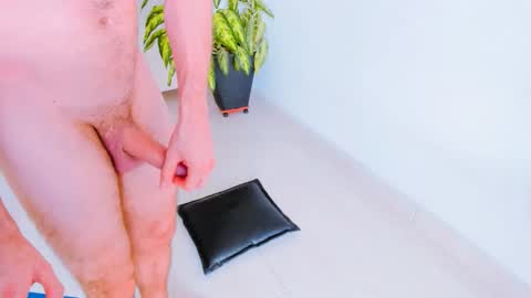 Margareth  Stallion online show from 12, 3, 2026