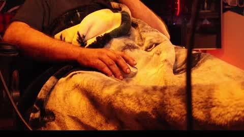 h0tttsteel online show from 18, 12, 2024