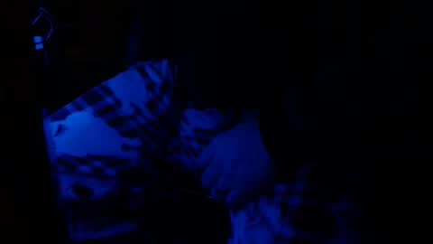 Snapshot of h2omygod chatting on 25, 1, 2025 H2omygod online show from 25, 1, 2025