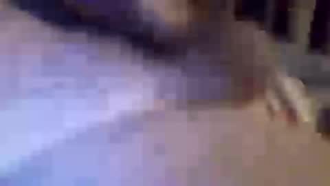 h_rd333 online show from 11, 3, 2025