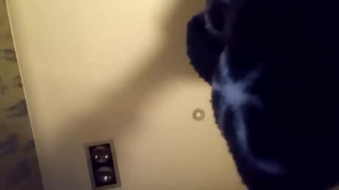 h_rd333 online show from 17, 9, 2025