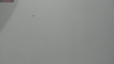 Hailey online show from 2, 4, 2026