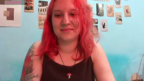 Hailey online show from 3, 7, 2026