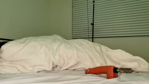 Snapshot of hailwilds chatting on 18, 2, 2026 HailWilds online show from 18, 2, 2026