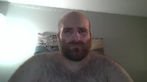 Snapshot of hairiestbear chatting on 28, 12, 2024 Hairiest Bear online show from 28, 12, 2024