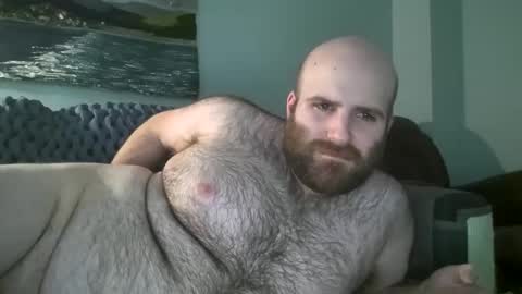 Snapshot of hairiestbear chatting on 14, 1, 2025 Hairiest Bear online show from 14, 1, 2025