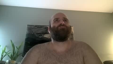 Hairiest Bear online show from 1, 3, 2026