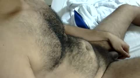 Snapshot of hairy_har chatting on 9, 4, 2026 hairy online show from 9, 4, 2026