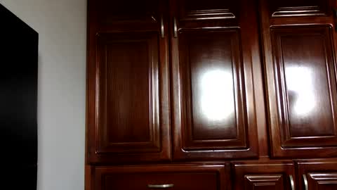 NN420 online show from 4, 1, 2025