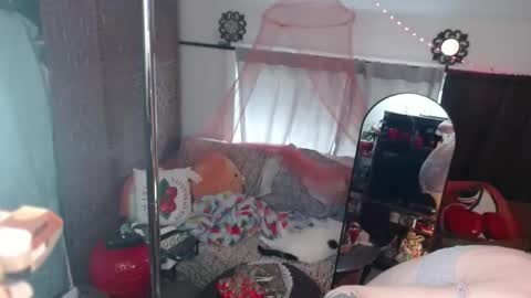 halovalentine online show from 5, 5, 2026