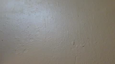 hamhead71 online show from 27, 1, 2025