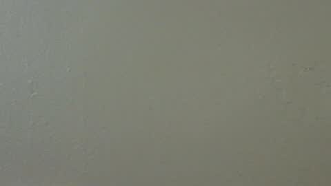 hamhead71 online show from 15, 2, 2025