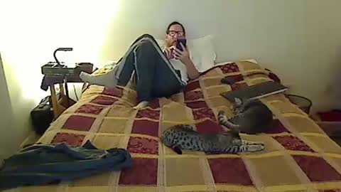 hammerthatthang73 online show from 19, 11, 2025