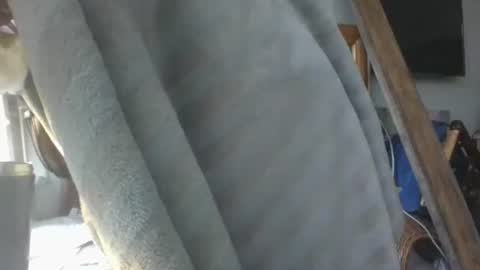 handncocknocum online show from 16, 1, 2026