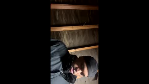 Snapshot of handsomeda1 chatting on 19, 1, 2025 handsomeda1 online show from 19, 1, 2025