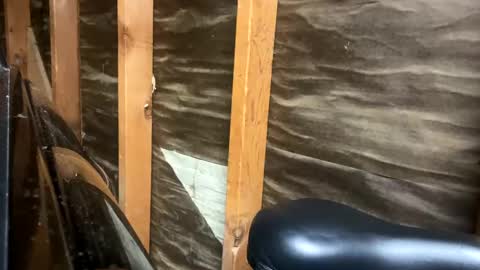 Snapshot of handsomeda1 chatting on 1, 2, 2025 handsomeda1 online show from 1, 2, 2025