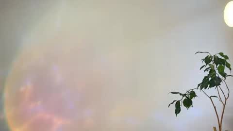 Snapshot of hannah_levis_ chatting on 25, 2, 2026 hannah levis online show from 25, 2, 2026