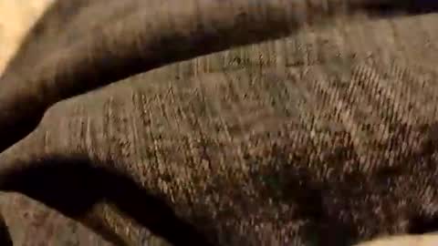 hardandhorny422 online show from 5, 1, 2026