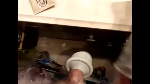 hardforu8675 online show from 13, 4, 2026