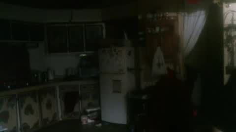 Snapshot of hardinhand44 chatting on 31, 1, 2025 john nobles online show from 31, 1, 2025