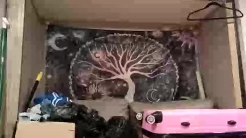 Snapshot of harlleymiller673 chatting on 17, 10, 2025 harlleymiller673 online show from 17, 10, 2025