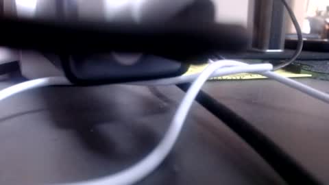 Snapshot of harp3736 chatting on 13, 7, 2026 Datswut Shesed online show from 13, 7, 2026