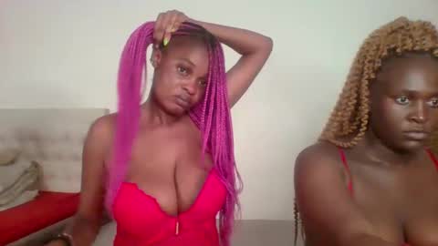 Havanna online show from 8, 12, 2024