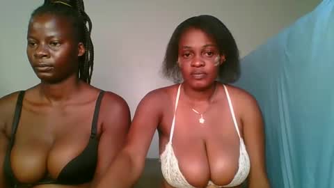 Havanna online show from 19, 12, 2024