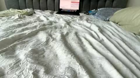 Amber  -   or vip  online show from 11, 7, 2026