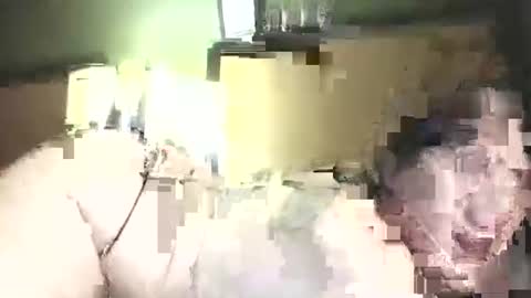 hazelbasil32728 online show from 31, 10, 2025