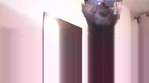 Heist Stein online show from 13, 12, 2025