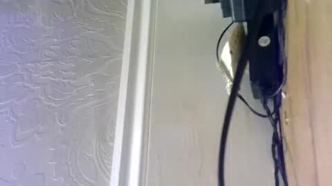 Snapshot of hellobunbunx0 chatting on 27, 12, 2024 hellobunbunx0 online show from 27, 12, 2024