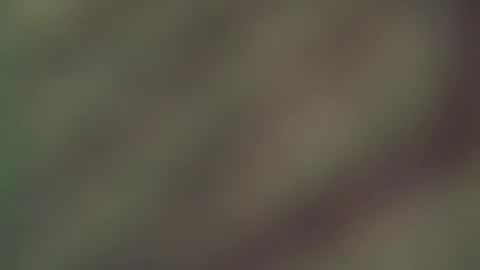 hellohowareyou66 online show from 19, 3, 2026