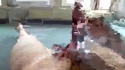 Snapshot of hera44 chatting on 9, 10, 2025 hera44 online show from 9, 10, 2025