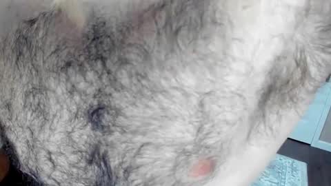 Snapshot of herewego42 chatting on 25, 1, 2025 Wade Biggs online show from 25, 1, 2025