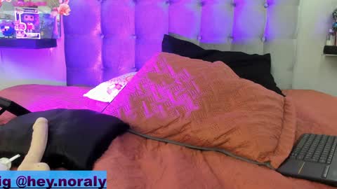 Snapshot of hey_noraly chatting on 20, 12, 2024 Noraly online show from 20, 12, 2024