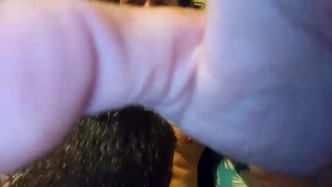 Snapshot of heyhowrya12 chatting on 5, 10, 2025 heyhowrya12 online show from 5, 10, 2025