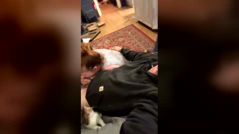 hgjkkggh online show from 27, 4, 2026