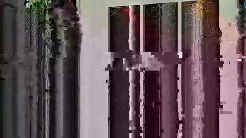 Highandhell online show from 19, 2, 2026