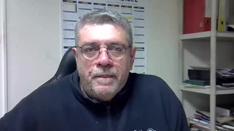 hippo online show from 11, 12, 2024