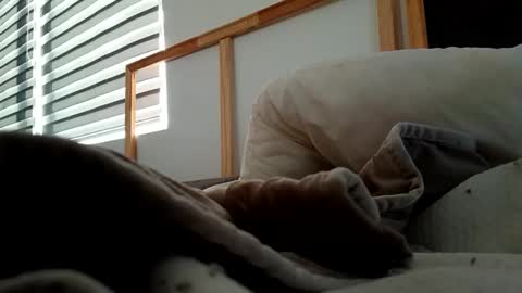 Snapshot of hnkkk88888 chatting on 6, 11, 2025 Fucker online show from 6, 11, 2025