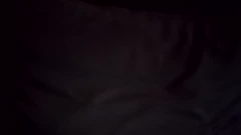 hoioi197777 online show from 12, 11, 2025